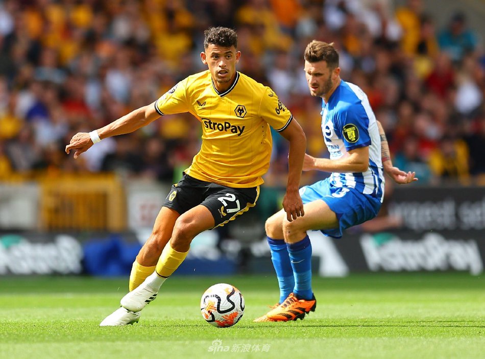 维亚纳在足 维亚纳在足